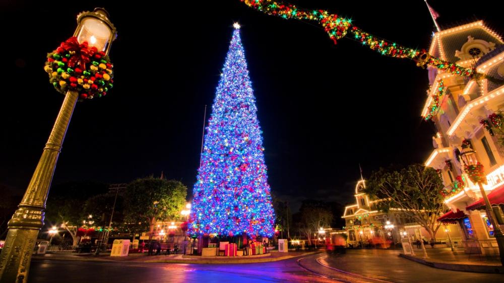 Disneyland Christmas tree wallpaper