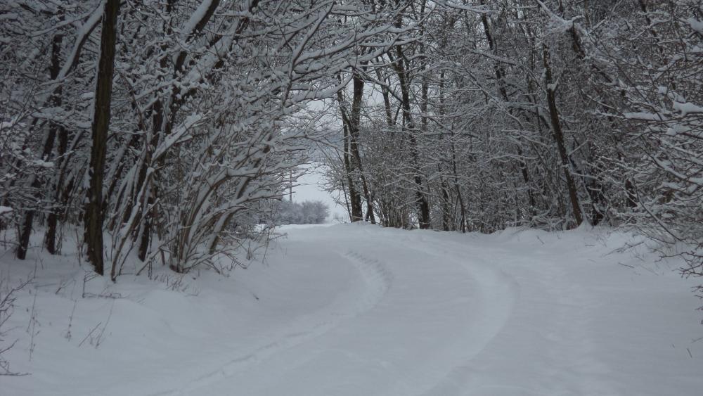 Winter landscape wallpaper