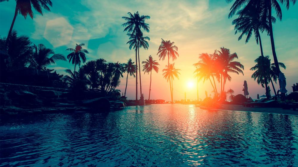 Palm Silhouettes at Sunset Serenity wallpaper