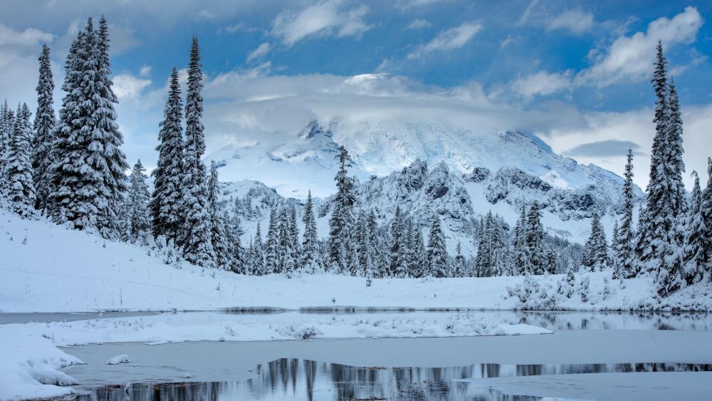 Snowy Mount Rainier wallpaper