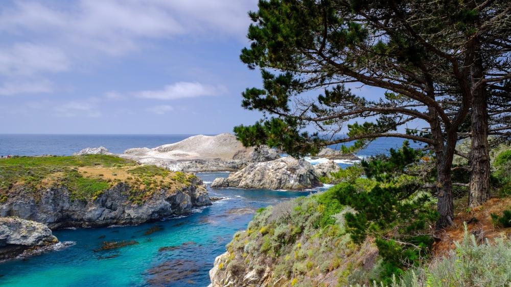 Point Lobos State Natural Reserve wallpaper