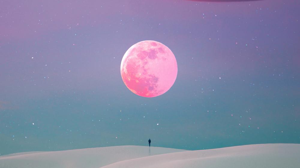 Someone looking at the moon wallpaper