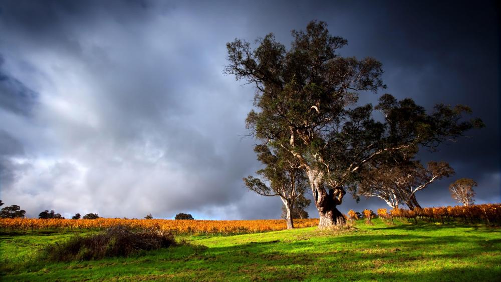 Stormy landscape wallpaper