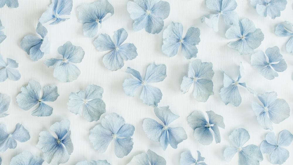 Pale flower pattern wallpaper