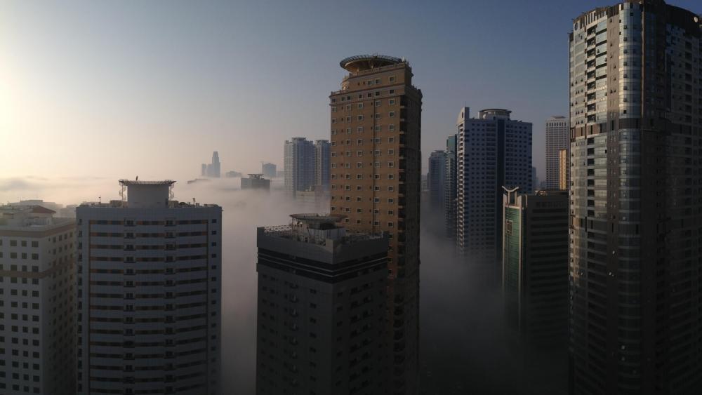 Fog in Sharjah, United Arab Emirates wallpaper