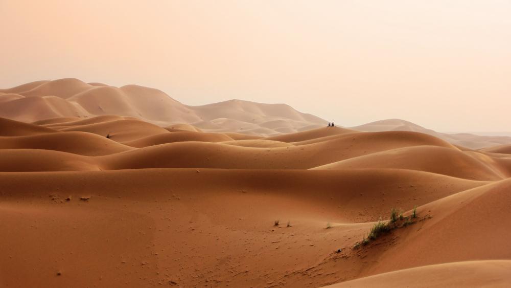 Morocco sand dunes wallpaper