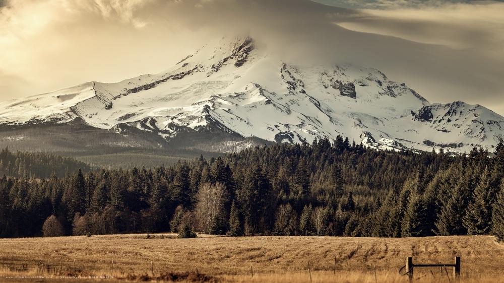 Majestic Snow-Capped Mountain Overlook wallpaper