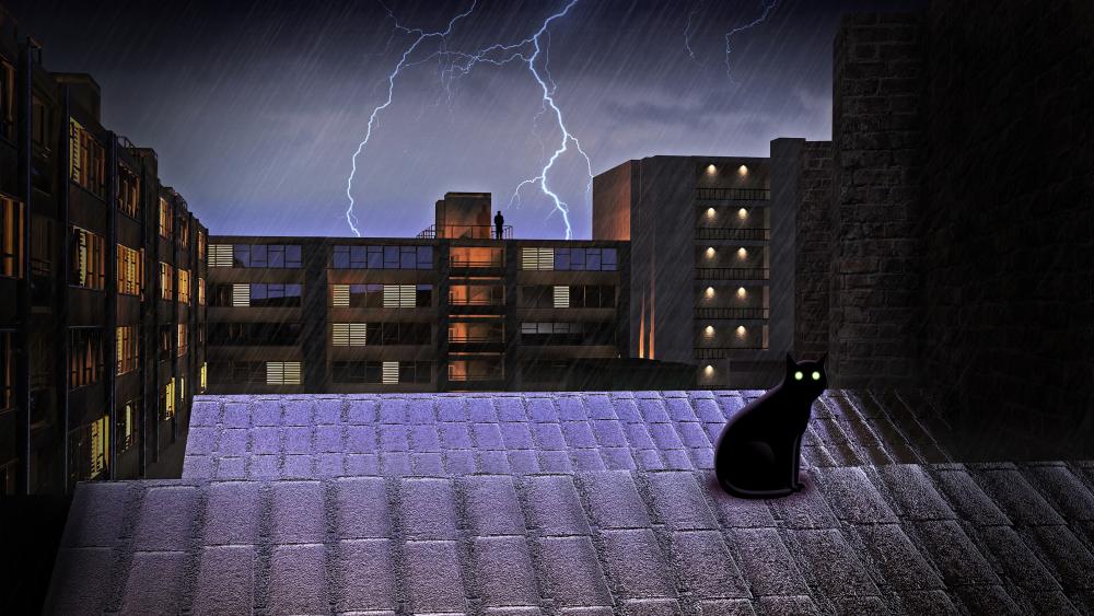 Black cat on the rooftop wallpaper