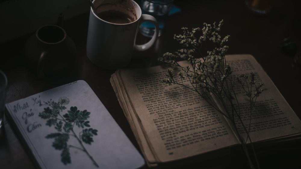 Quiet Moments with Coffee and Literature wallpaper