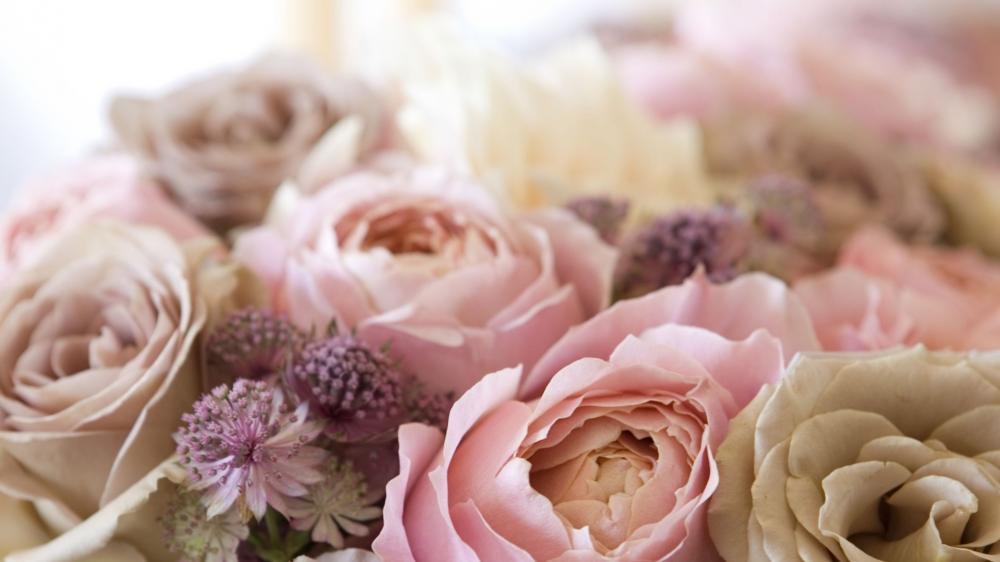 Pastel bouquet wallpaper