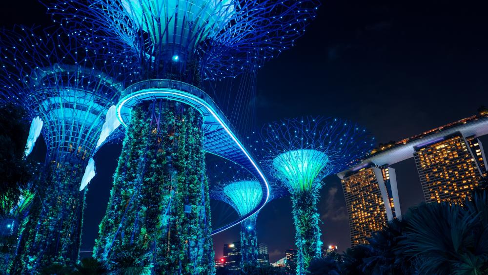 Supertree Grove, Gardens by the Bay wallpaper