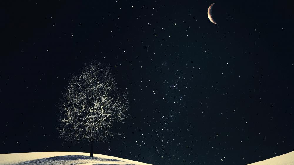 Solitary Tree Under a Crescent Moon wallpaper
