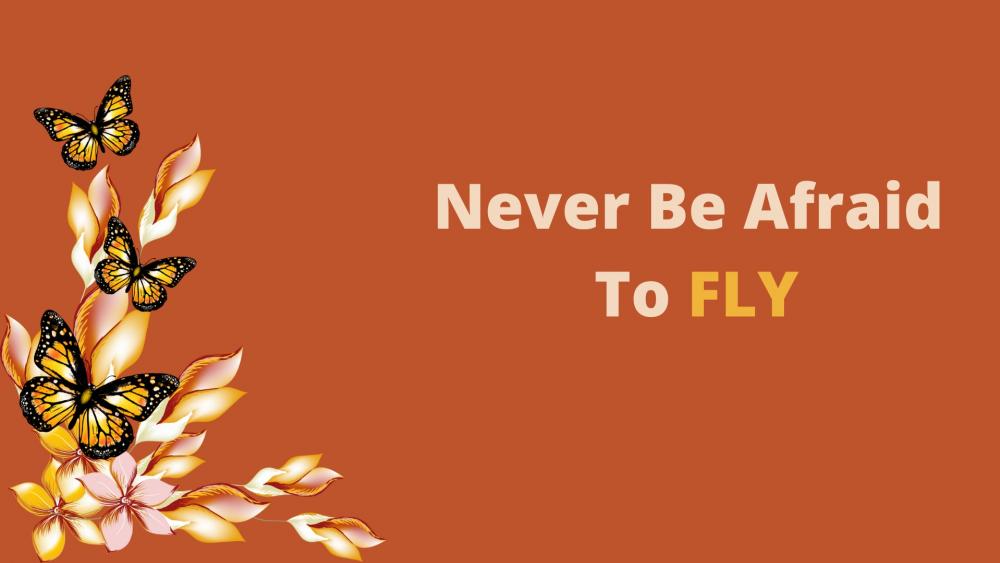 Never Be Afraid To Fly wallpaper