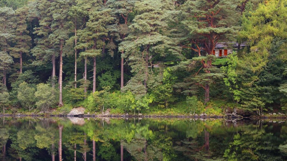 House among the trees near the lake wallpaper