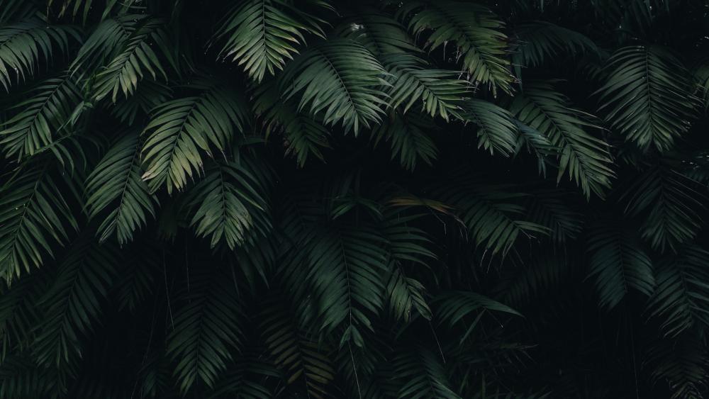 Whispers in the Dark Green Foliage wallpaper