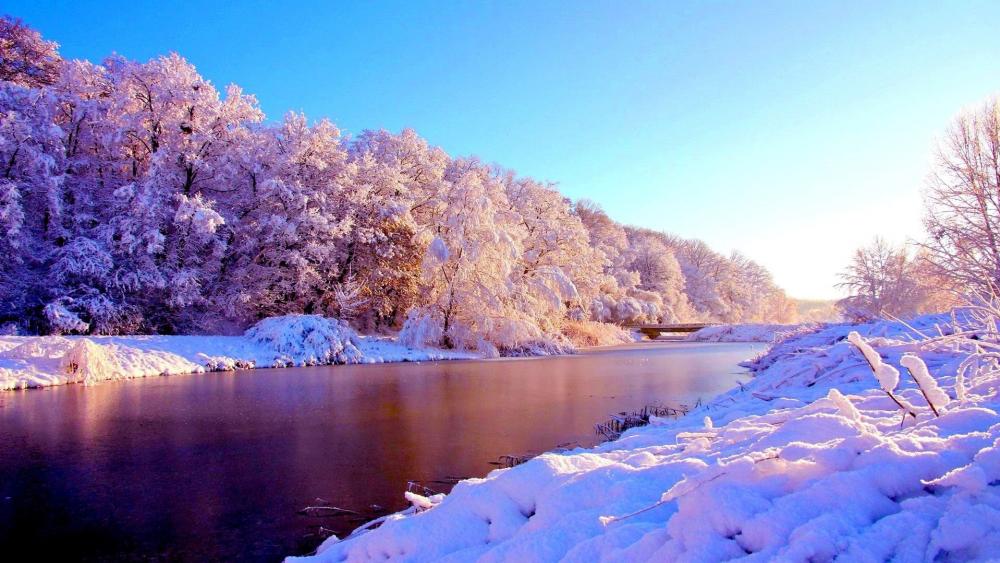 Winter Wonderland by the Riverbank wallpaper