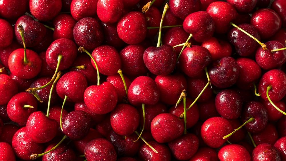 Cherry wallpaper