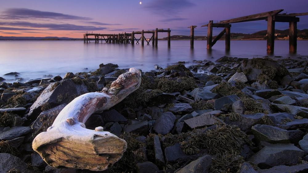 Tranquil Twilight at the Shoreline wallpaper
