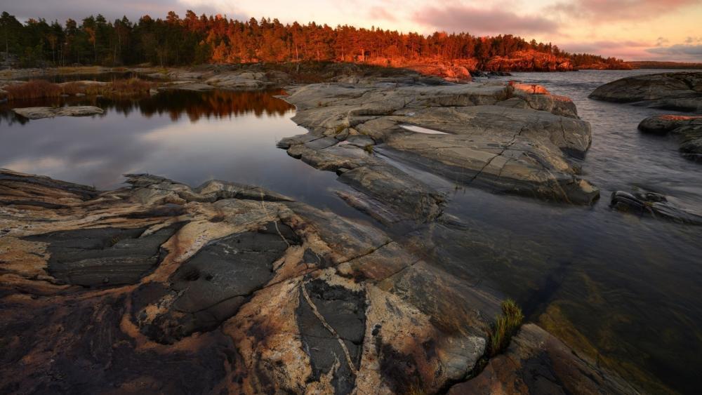 Wallpaper from nature category