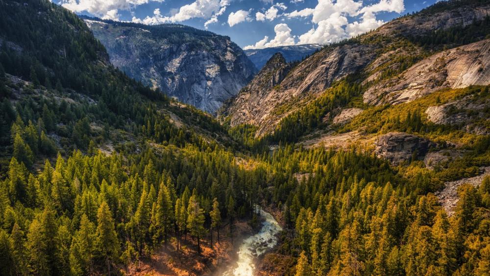 Majestic Mountain Valley with Lush Forests and a River Flowing wallpaper