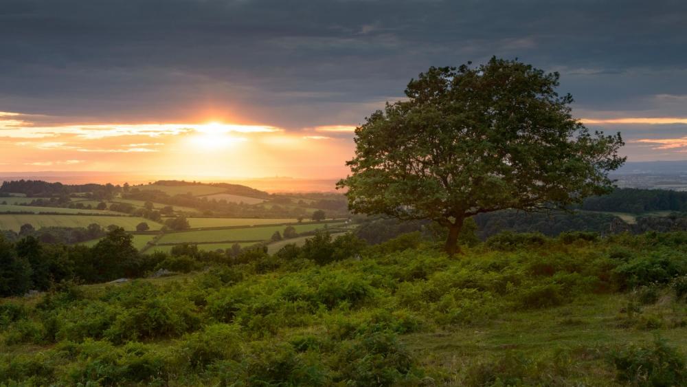 Tranquil Sunset Over Rolling Hillside wallpaper