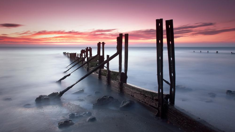 Timeless Serenity of the Shoreline wallpaper
