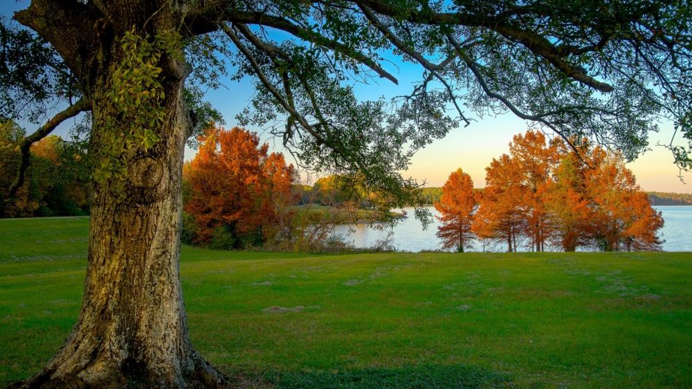 Serene Autumn Landscape by the Waterfall wallpaper