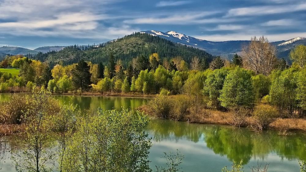 Serene Reflection of Nature's Beauty wallpaper