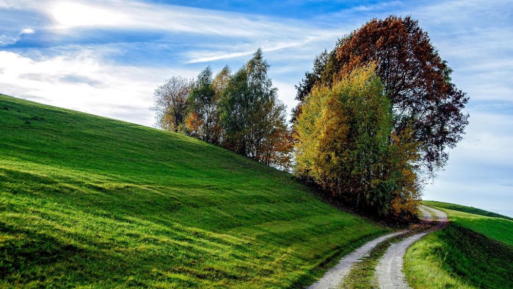 Serene Autumn Landscape with Vibrant Trees and Rolling Hills wallpaper