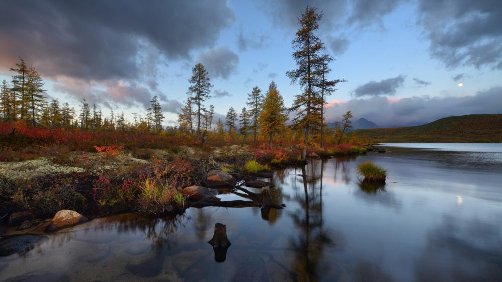 Serene Autumn Reflections in Nature's Embrace wallpaper