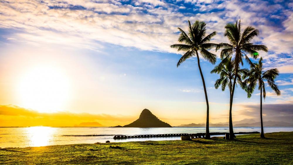 Tropical Sunset Over Calm Waters with Palm Trees wallpaper