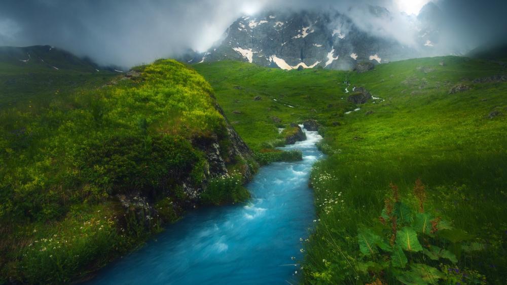 Serene Mountain Stream in Lush Green Valley wallpaper