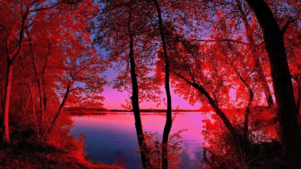 Crimson Autumn by the Lake wallpaper