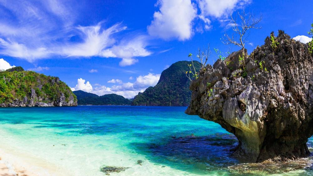 Serene Tropical Paradise Awaits You wallpaper