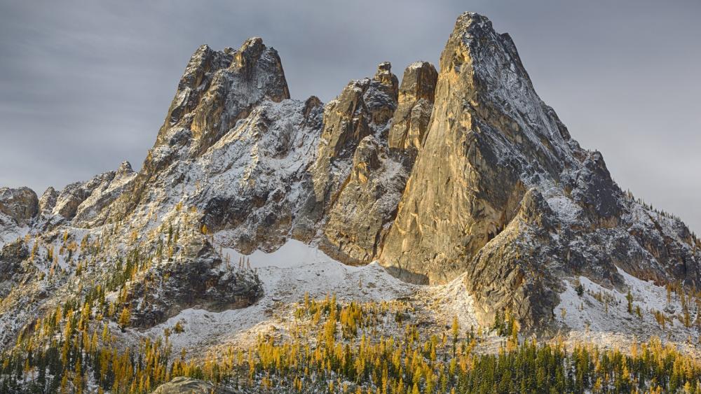 Wallpaper from nature category