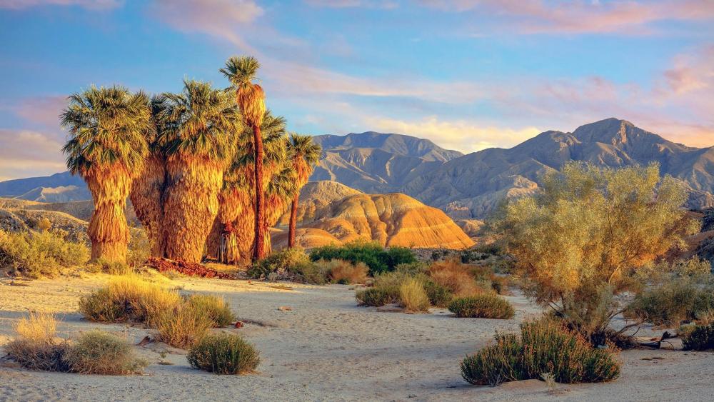 Desert Oasis with Majestic Palms and Mountains wallpaper