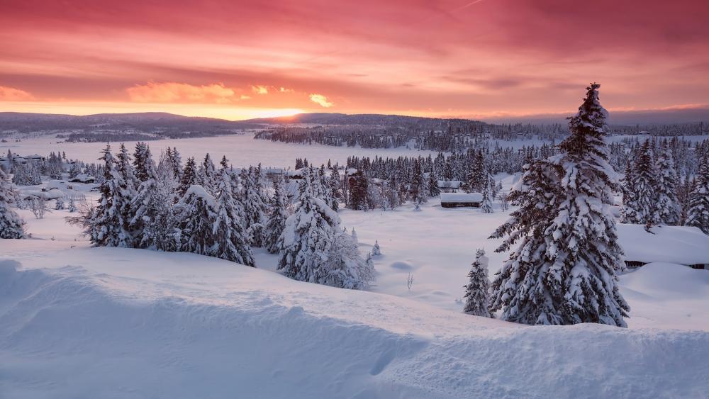 Winter Wonderland at Dusk wallpaper