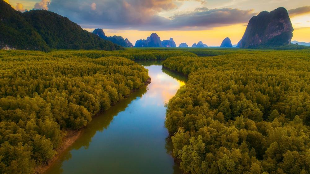 Serene River Amidst Lush Greenery and Mountains wallpaper