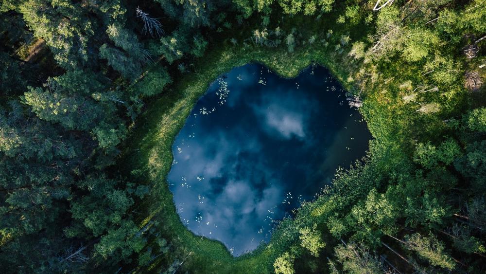 Serene Forest Lake View for Nature Lovers wallpaper
