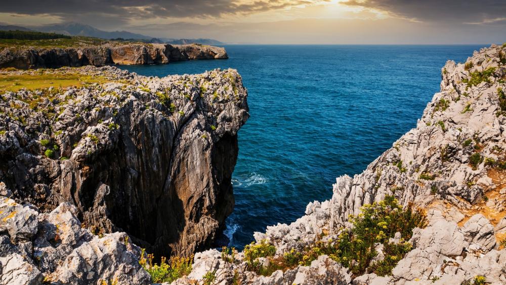 Majestic Cliffs Overlooking Serene Ocean Waves wallpaper