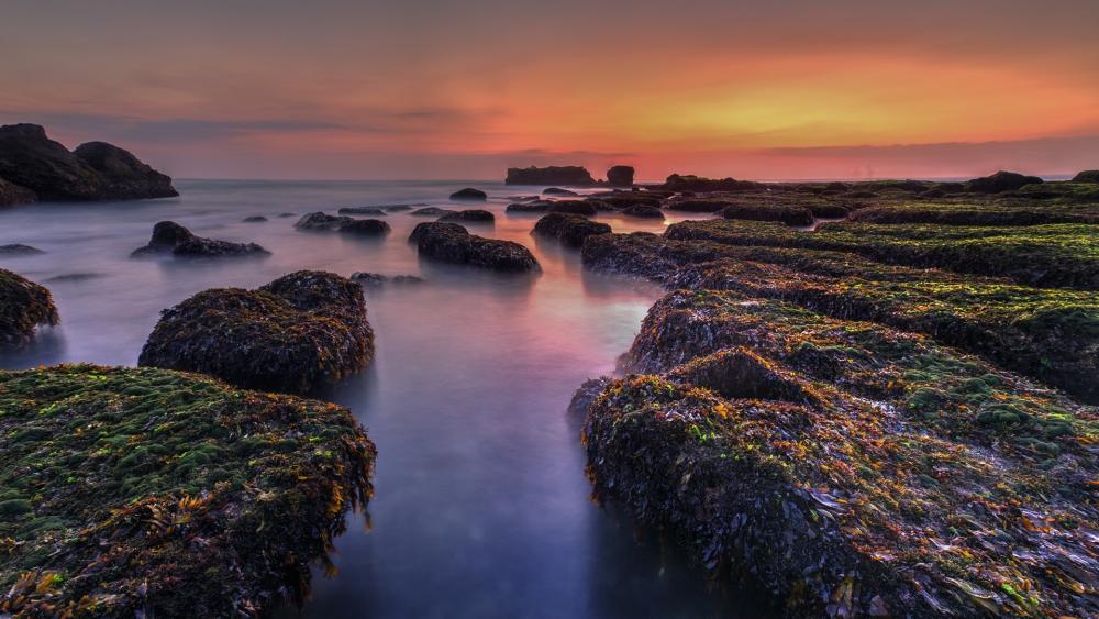 Serene Sunset Over Rocky Shoreline wallpaper