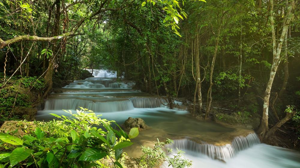 Serenity of Tropical Waterfalls wallpaper
