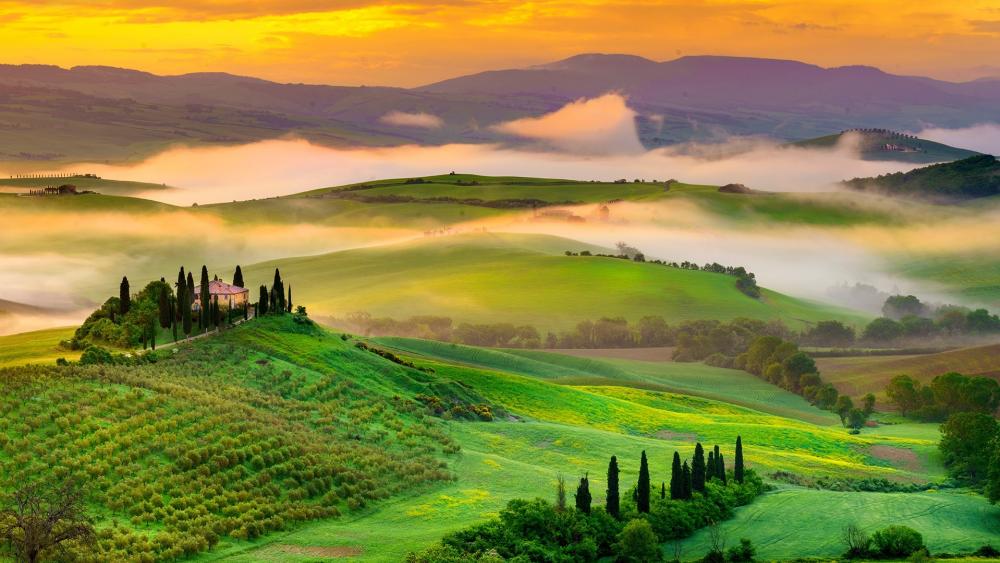 Serene Sunrise Over Rolling Hills wallpaper