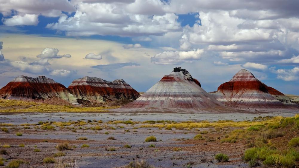 Majestic Colors of the Painted Desert Beauty wallpaper