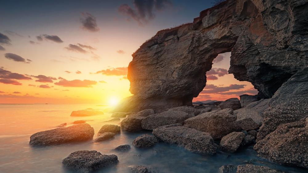 Wallpaper from nature category