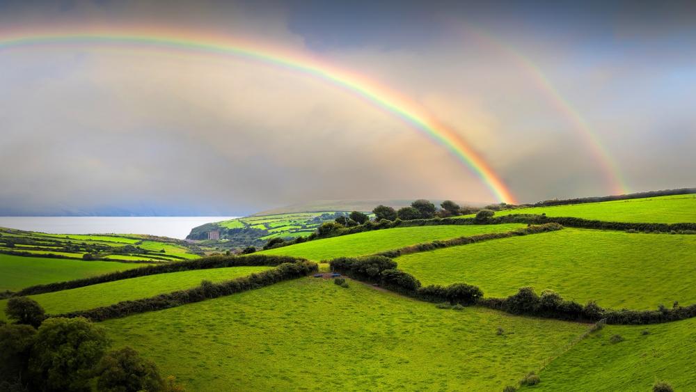 Vibrant Landscape with a Majestic Rainbow Over Green Fields wallpaper