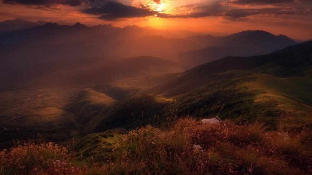 Majestic Sunset Over Mountain Valleys wallpaper