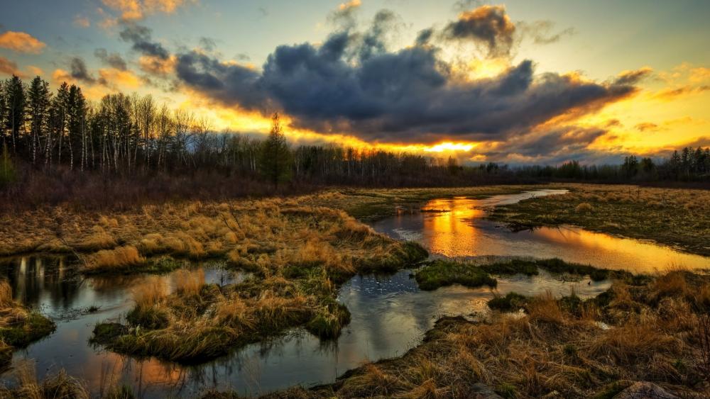 Serenity at Dusk in Nature's Embrace wallpaper