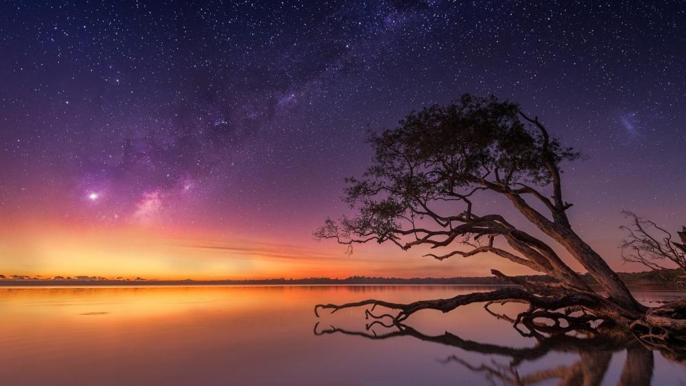 Celestial Serenity Over Tranquil Waters wallpaper
