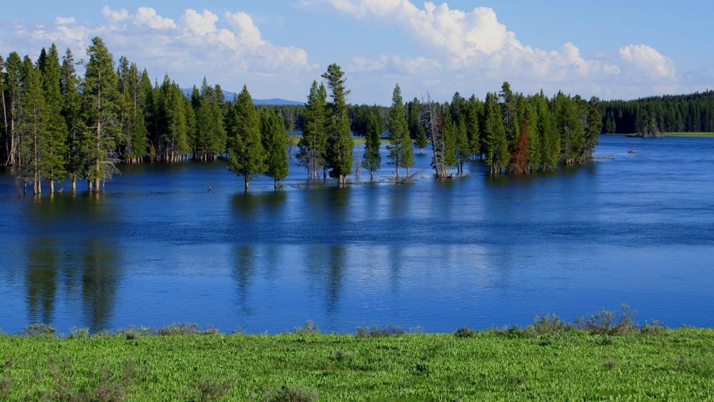 Tranquil Reflections of Nature's Beauty wallpaper